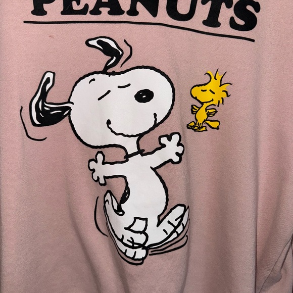 Peanuts Pink Snoopy and Woodstock Hoodie: Women's Size Medium - Picture 5 of 9